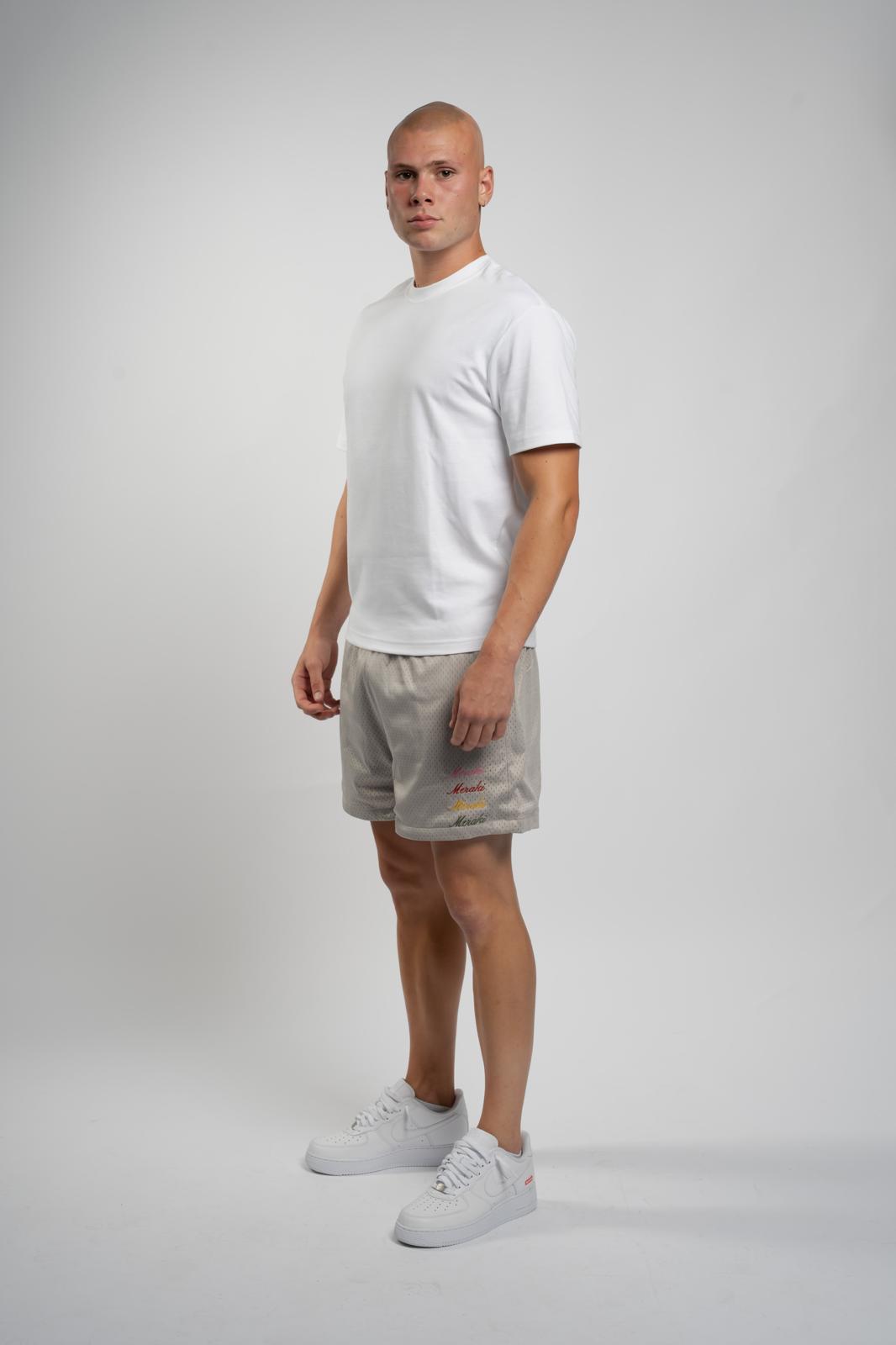 Grey Multi-coloured Mesh Shorts