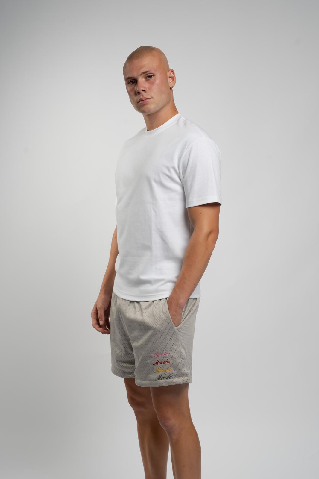 Grey Multi-coloured Mesh Shorts